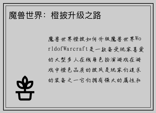 魔兽世界:橙披升级之路